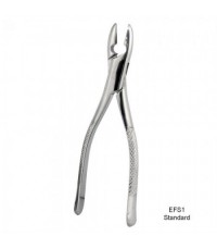 1 Standard Forceps Upper Incisors & Canines